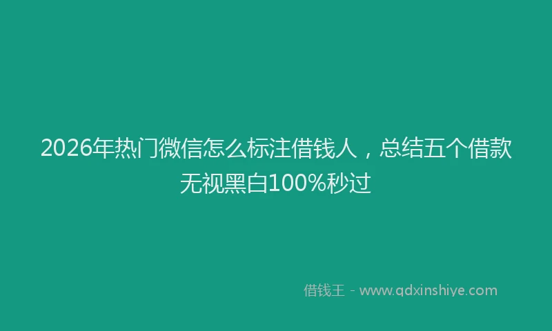 2026年热门微信怎么标注借钱人，总结五个借款无视黑白100%秒过