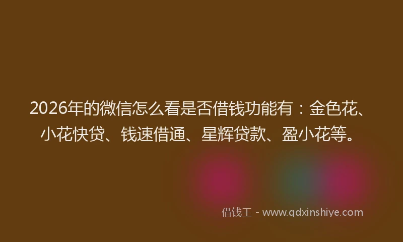 2026年的微信怎么看是否借钱功能有：金色花、小花快贷、钱速借通、星辉贷款、盈小花等。