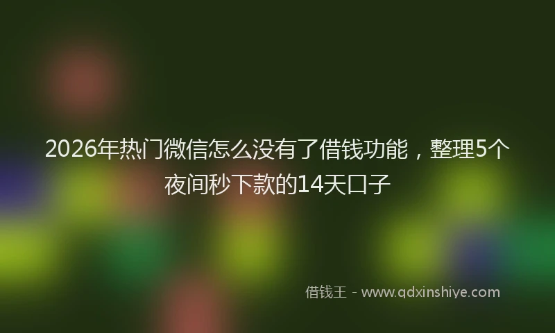 2026年热门微信怎么没有了借钱功能，整理5个夜间秒下款的14天口子