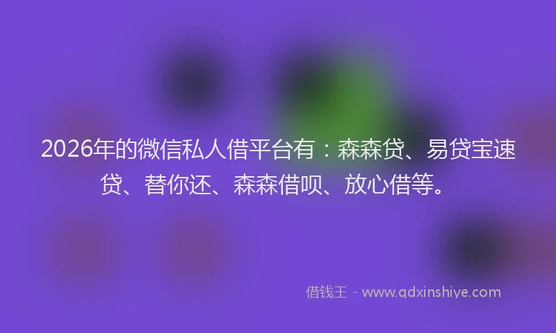 2026年的微信私人借平台有：森森贷、易贷宝速贷、替你还、森森借呗、放心借等。