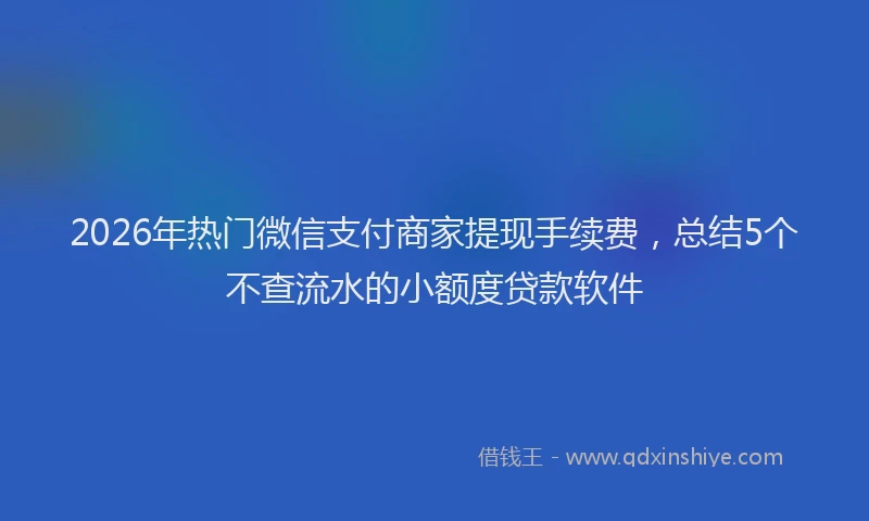 2026年热门微信支付商家提现手续费，总结5个不查流水的小额度贷款软件