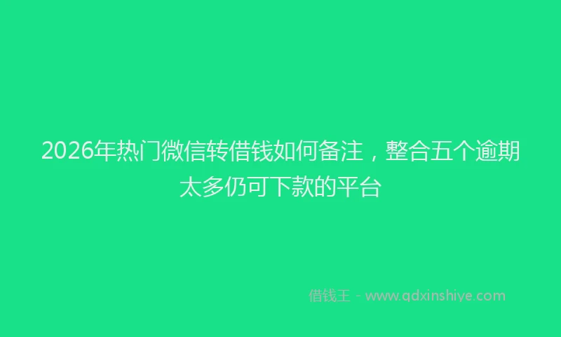 2026年热门微信转借钱如何备注，整合五个逾期太多仍可下款的平台