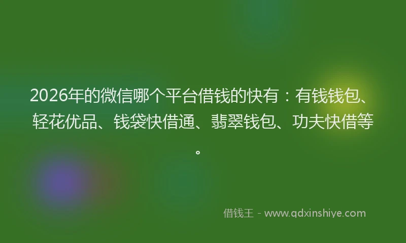2026年的微信哪个平台借钱的快有：有钱钱包、轻花优品、钱袋快借通、翡翠钱包、功夫快借等。