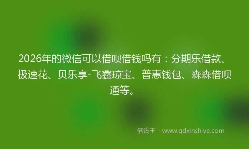 2026年的微信可以借呗借钱吗有：分期乐借款、极速花、贝乐享-飞鑫琼宝、普惠钱包、森森借呗通等。