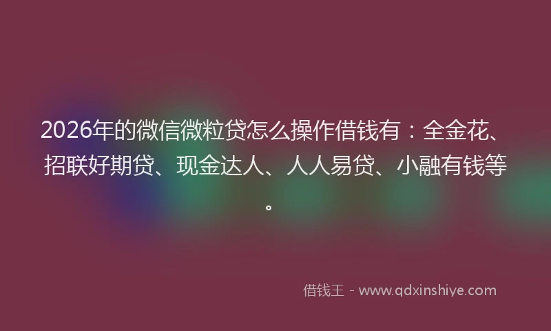 2026年的微信微粒贷怎么操作借钱有：全金花、招联好期贷、现金达人、人人易贷、小融有钱等。
