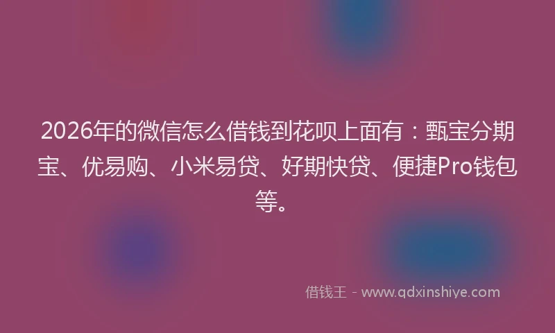 2026年的微信怎么借钱到花呗上面有：甄宝分期宝、优易购、小米易贷、好期快贷、便捷Pro钱包等。