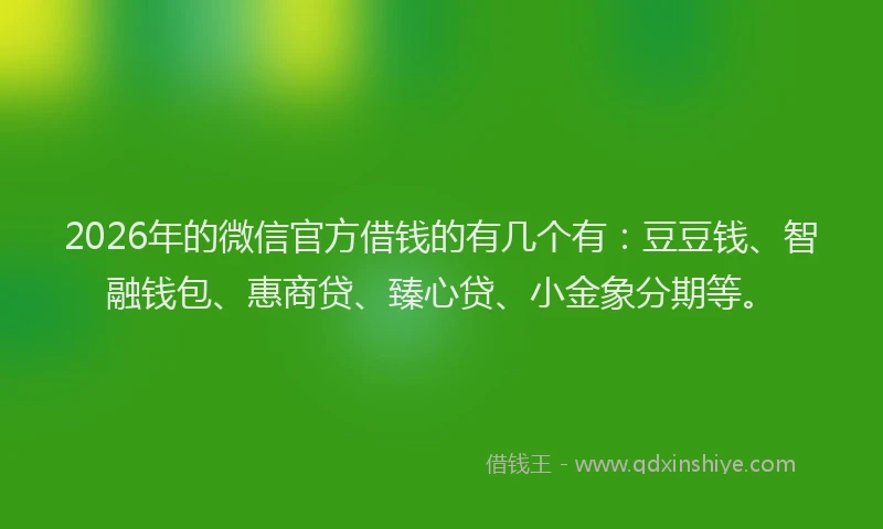 2026年的微信官方借钱的有几个有：豆豆钱、智融钱包、惠商贷、臻心贷、小金象分期等。