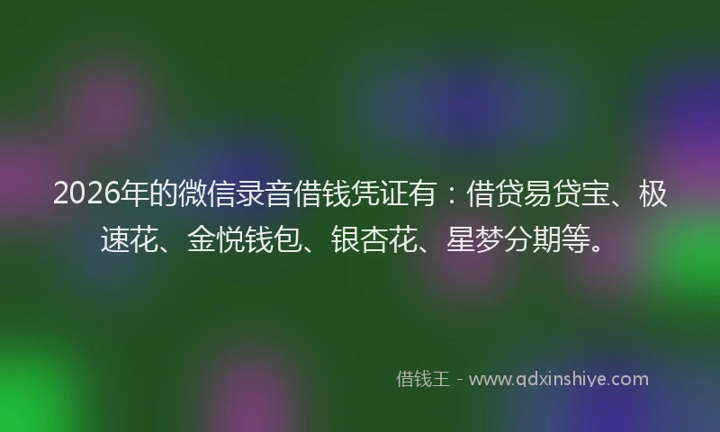 2026年的微信录音借钱凭证有：借贷易贷宝、极速花、金悦钱包、银杏花、星梦分期等。