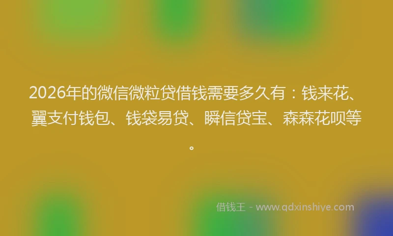 2026年的微信微粒贷借钱需要多久有：钱来花、翼支付钱包、钱袋易贷、瞬信贷宝、森森花呗等。