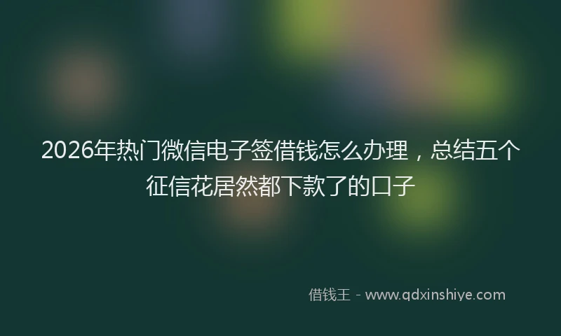 2026年热门微信电子签借钱怎么办理，总结五个征信花居然都下款了的口子