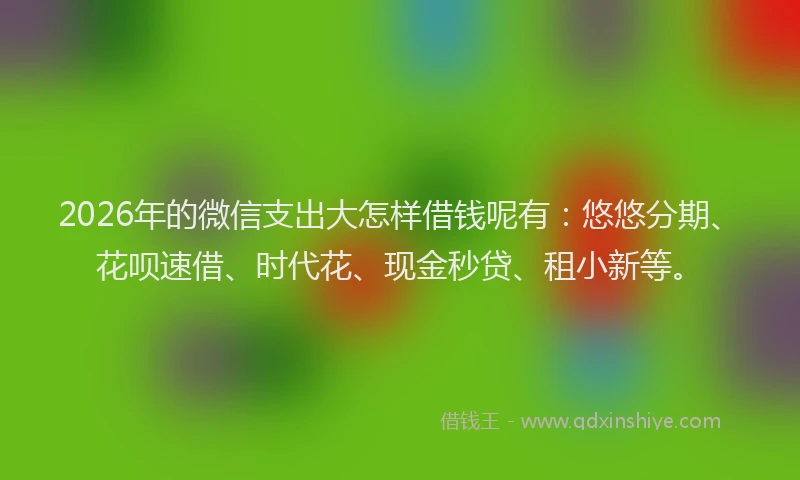 2026年的微信支出大怎样借钱呢有:悠悠分期、花呗速借、时代花、现金秒贷、租小新等。