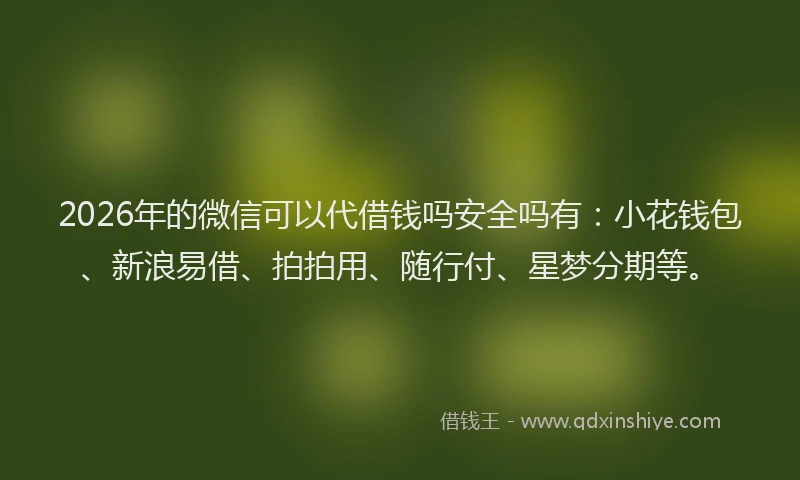 2026年的微信可以代借钱吗安全吗有：小花钱包、新浪易借、拍拍用、随行付、星梦分期等。