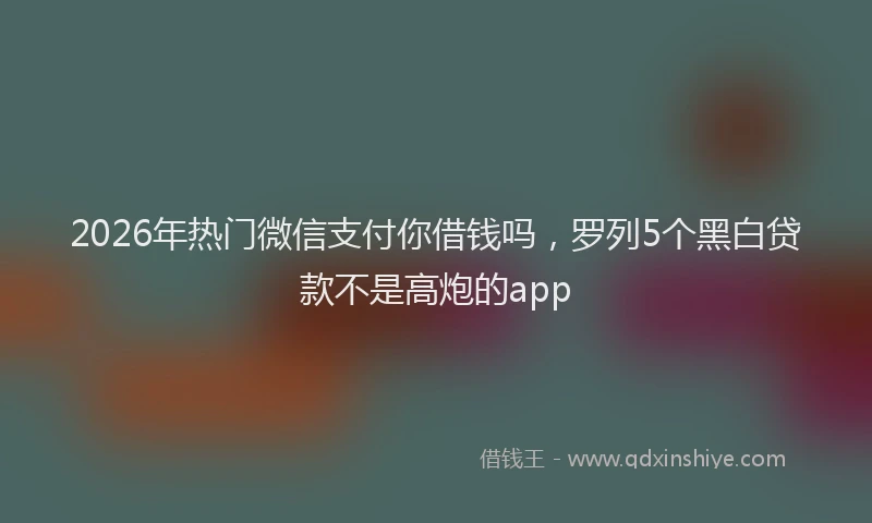2026年热门微信支付你借钱吗，罗列5个黑白贷款不是高炮的app