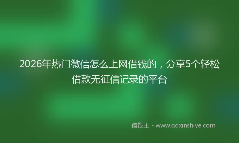 2026年热门微信怎么上网借钱的，分享5个轻松借款无征信记录的平台