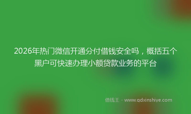 2026年热门微信开通分付借钱安全吗，概括五个黑户可快速办理小额贷款业务的平台