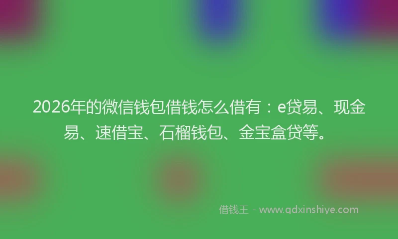 2026年的微信钱包借钱怎么借有：e贷易、现金易、速借宝、石榴钱包、金宝盒贷等。