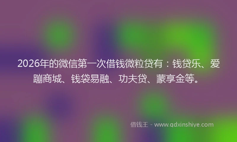 2026年的微信第一次借钱微粒贷有：钱贷乐、爱蹦商城、钱袋易融、功夫贷、蒙享金等。