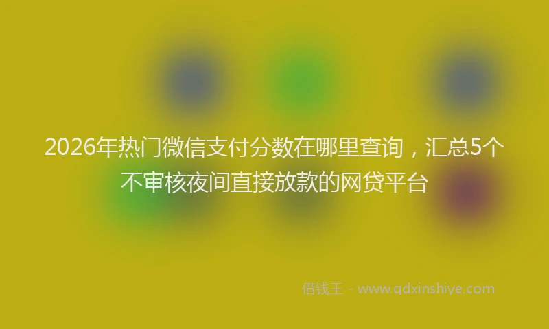 2026年热门微信支付分数在哪里查询，汇总5个不审核夜间直接放款的网贷平台