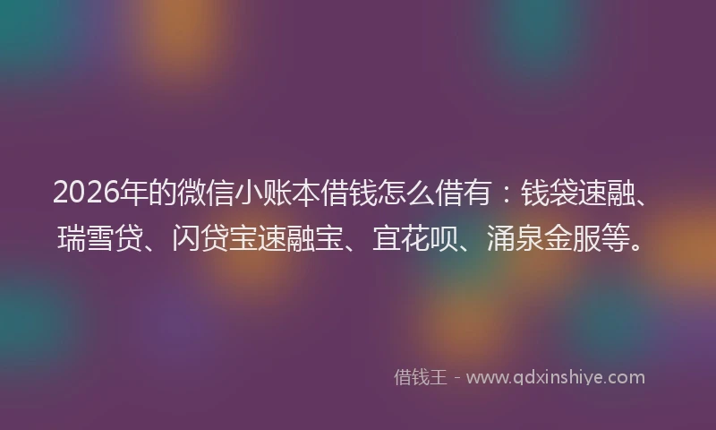 2026年的微信小账本借钱怎么借有：钱袋速融、瑞雪贷、闪贷宝速融宝、宜花呗、涌泉金服等。