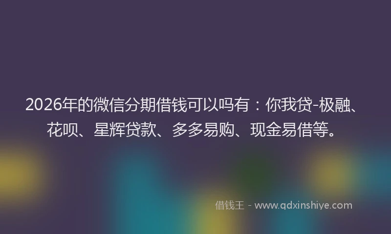2026年的微信分期借钱可以吗有：你我贷-极融、花呗、星辉贷款、多多易购、现金易借等。