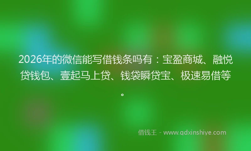 2026年的微信能写借钱条吗有：宝盈商城、融悦贷钱包、壹起马上贷、钱袋瞬贷宝、极速易借等。