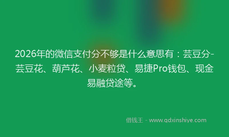 2026年的微信支付分不够是什么意思有:芸豆分-芸豆花、葫芦花、小麦粒贷、易捷Pro钱包、现金易融贷途等。