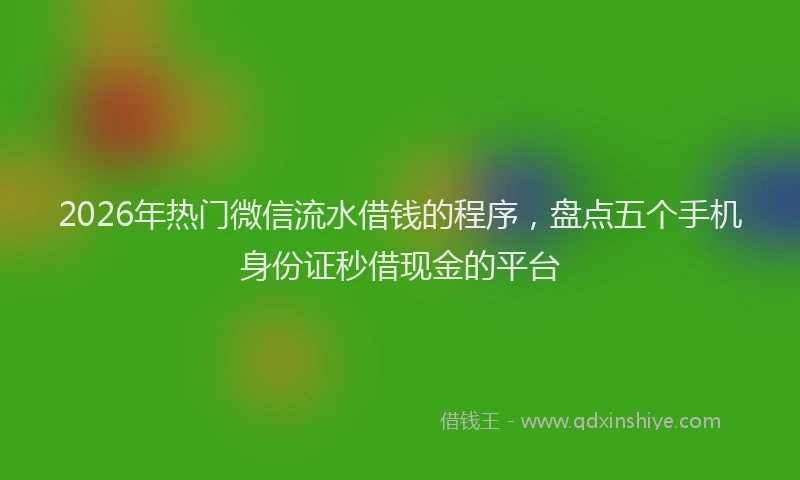 2026年热门微信流水借钱的程序，盘点五个手机身份证秒借现金的平台