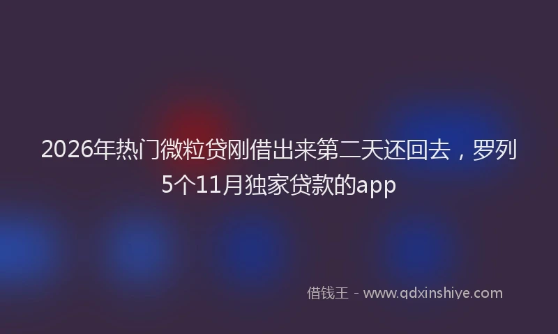 2026年热门微粒贷刚借出来第二天还回去，罗列5个11月独家贷款的app