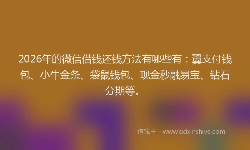 2026年的微信借钱还钱方法有哪些有：翼支付钱包、小牛金条、袋鼠钱包、现金秒融易宝、钻石分期等。