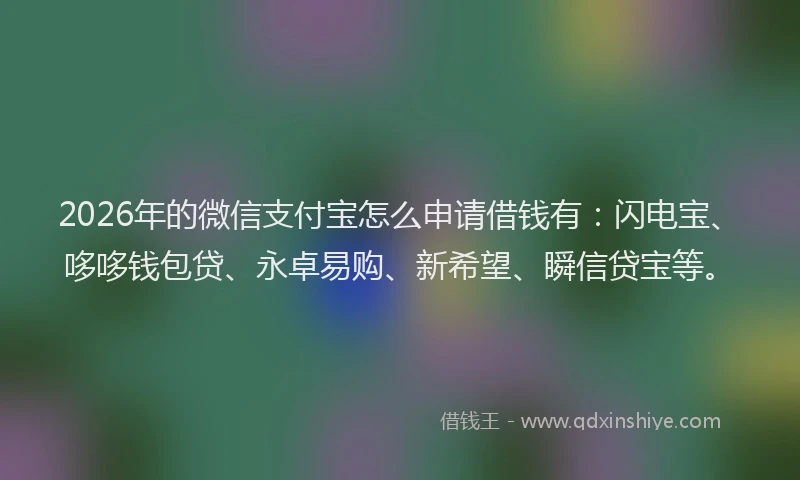 2026年的微信支付宝怎么申请借钱有：闪电宝、哆哆钱包贷、永卓易购、新希望、瞬信贷宝等。