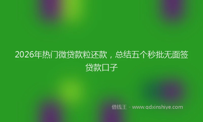 2026年热门微贷款粒还款，总结五个秒批无面签贷款口子