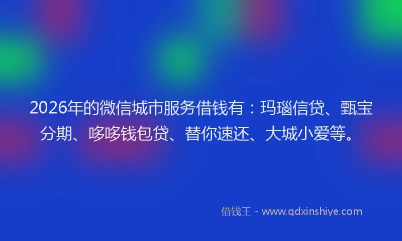 2026年的微信城市服务借钱有：玛瑙信贷、甄宝分期、哆哆钱包贷、替你速还、大城小爱等。