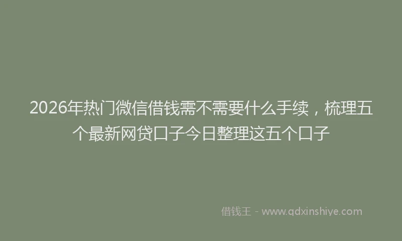 2026年热门微信借钱需不需要什么手续，梳理五个最新网贷口子今日整理这五个口子