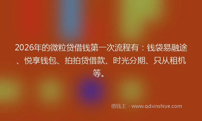 2026年的微粒贷借钱第一次流程有：钱袋易融途、悦享钱包、拍拍贷借款、时光分期、只从租机等。