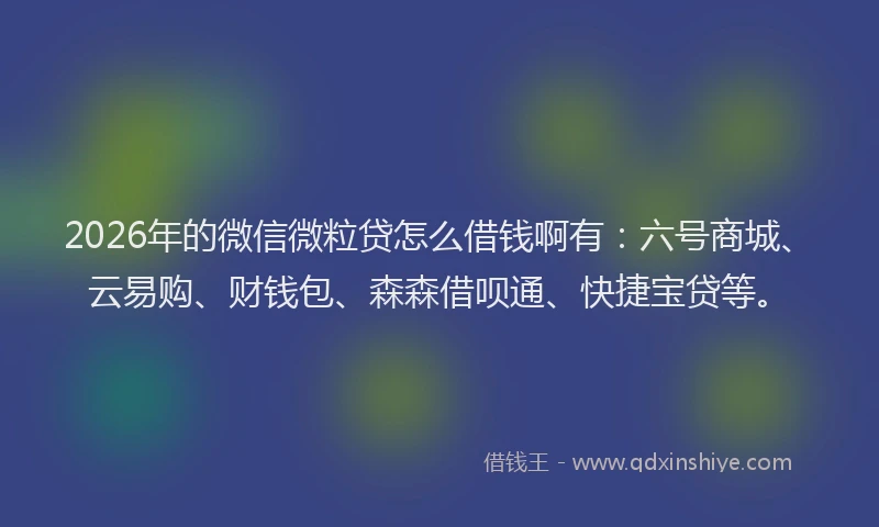 2026年的微信微粒贷怎么借钱啊有：六号商城、云易购、财钱包、森森借呗通、快捷宝贷等。