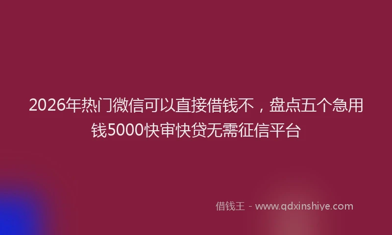 2026年热门微信可以直接借钱不，盘点五个急用钱5000快审快贷无需征信平台