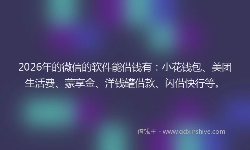 2026年的微信的软件能借钱有:小花钱包、美团生活费、蒙享金、洋钱罐借款、闪借快行等。