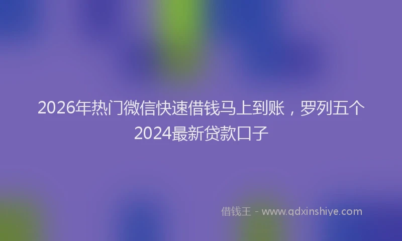 2026年热门微信快速借钱马上到账，罗列五个2024最新贷款口子
