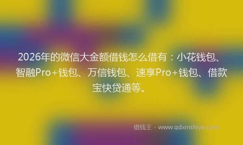 2026年的微信大金额借钱怎么借有：小花钱包、智融Pro+钱包、万信钱包、速享Pro+钱包、借款宝快贷通等。