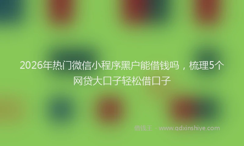 2026年热门微信小程序黑户能借钱吗，梳理5个网贷大口子轻松借口子
