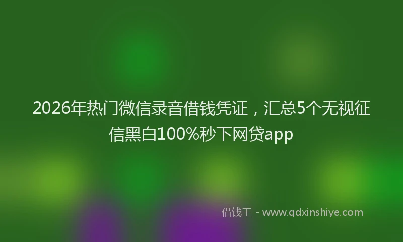 2026年热门微信录音借钱凭证，汇总5个无视征信黑白100%秒下网贷app