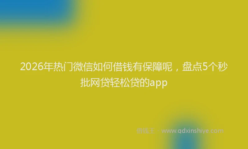2026年热门微信如何借钱有保障呢,盘点5个秒批网贷轻松贷的app
