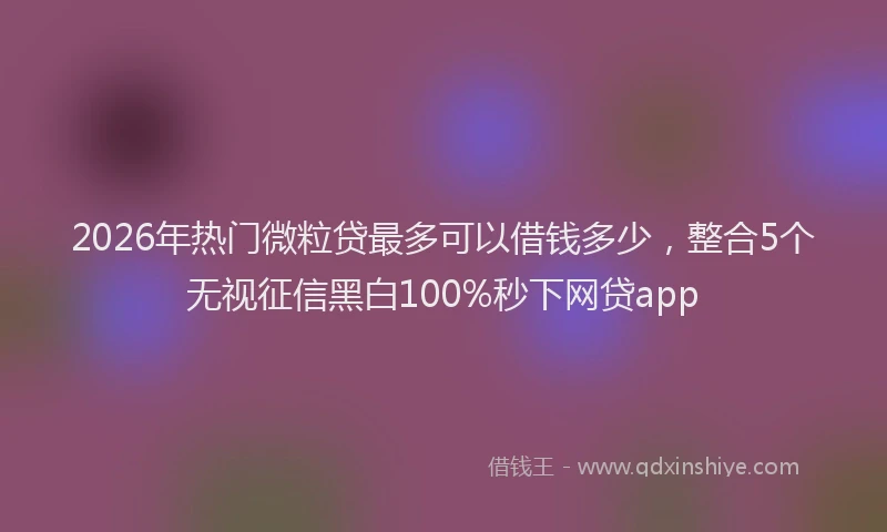 2026年热门微粒贷最多可以借钱多少，整合5个无视征信黑白100%秒下网贷app