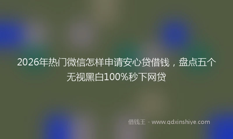 2026年热门微信怎样申请安心贷借钱，盘点五个无视黑白100%秒下网贷