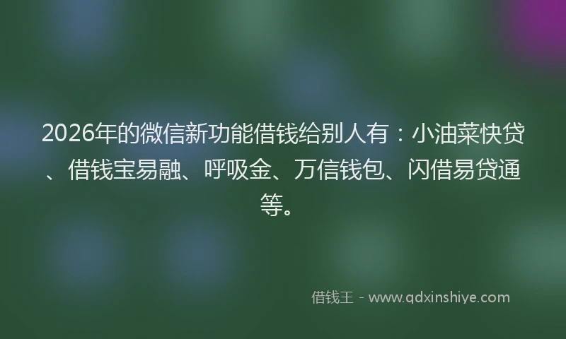 2026年的微信新功能借钱给别人有：小油菜快贷、借钱宝易融、呼吸金、万信钱包、闪借易贷通等。