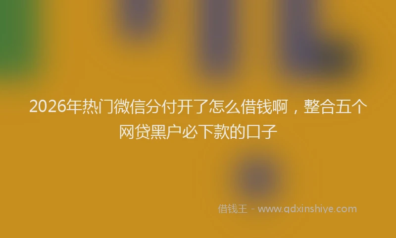 2026年热门微信分付开了怎么借钱啊，整合五个网贷黑户必下款的口子