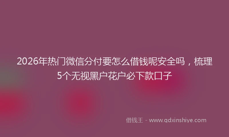 2026年热门微信分付要怎么借钱呢安全吗，梳理5个无视黑户花户必下款口子