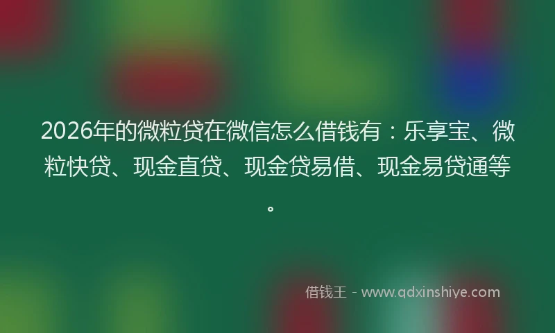 2026年的微粒贷在微信怎么借钱有：乐享宝、微粒快贷、现金直贷、现金贷易借、现金易贷通等。