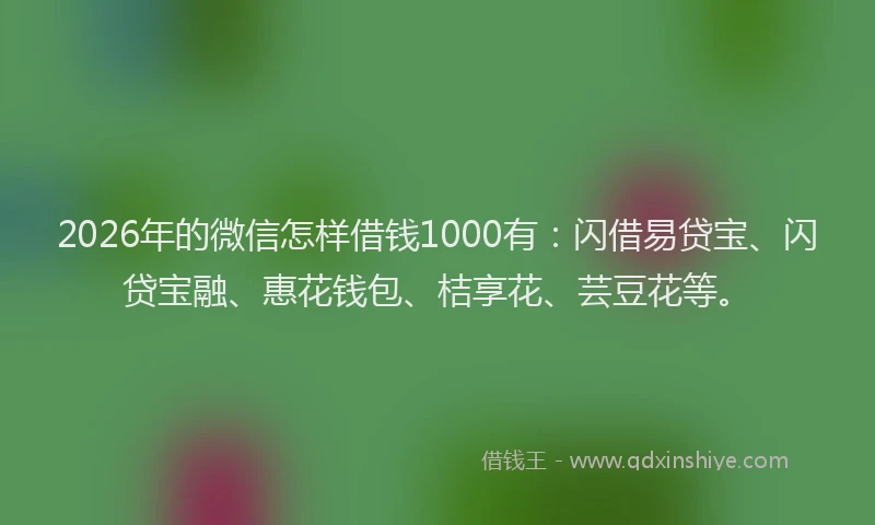 2026年的微信怎样借钱1000有：闪借易贷宝、闪贷宝融、惠花钱包、桔享花、芸豆花等。