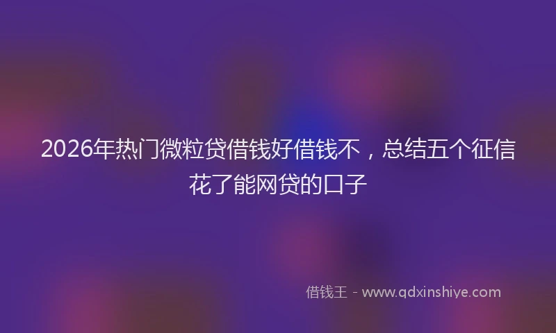 2026年热门微粒贷借钱好借钱不，总结五个征信花了能网贷的口子